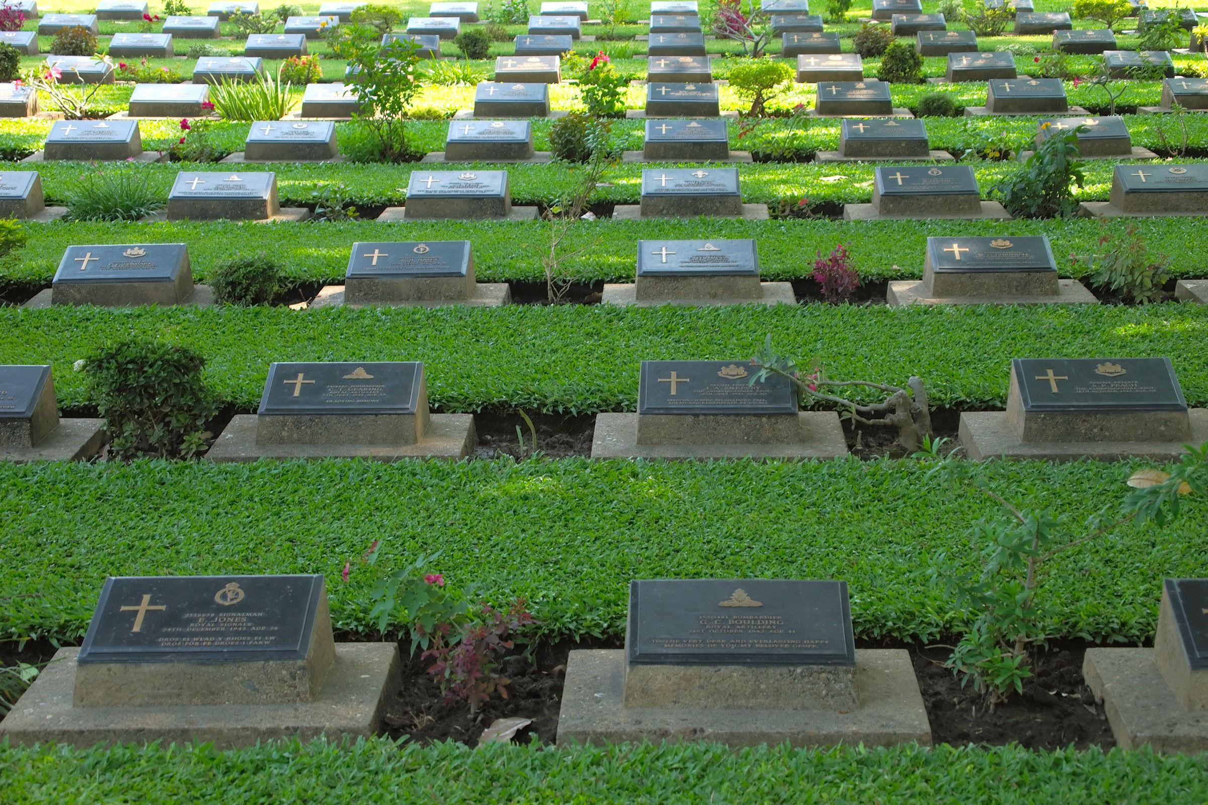 War History & Remembrance